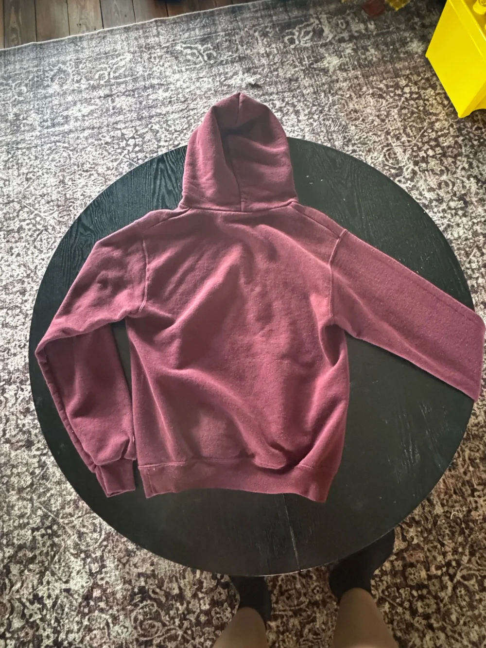 Champion hooded sweatshirt